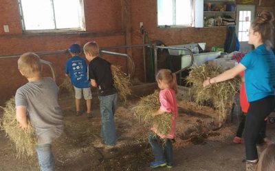 Kids looking at hay bales