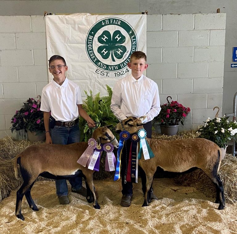 2023 Middlesex & New Haven County 4-H Fair Sheep Champions